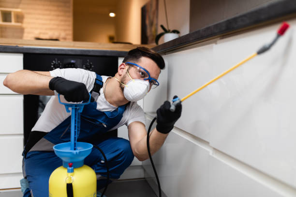Pest Control for Restaurants in Lyndhurst, OH