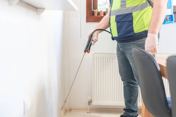 Best Cockroach Control Services  in Lyndhurst, OH