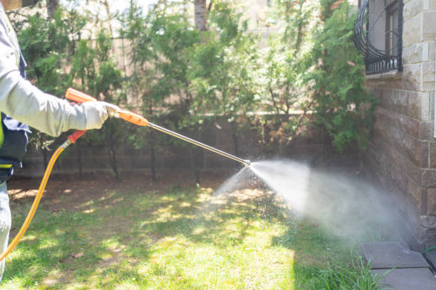 Best Affordable Pest Control Services  in Lyndhurst, OH